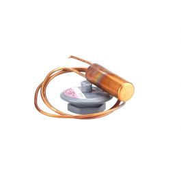 Sporlan Controls 181209 Thermal Expansion Valve (TXV) R410A 30" Element