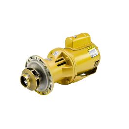 Xylem-Bell & Gossett 1EF000LF All Bronze In-Line Centrifugal Pump 2" X 5.25" 3.62" Impeller Less Volute E60