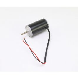 Wayne Combustion 21993-006 Motor Low Amp/3850 RPM 12 VDC