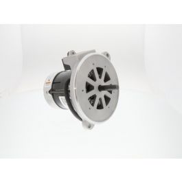 Wayne Combustion 24005-001 1/4HP Motor 115V/60Hz 3450 RPM