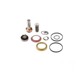 ASCO 310716 Valve Rebuild Kit