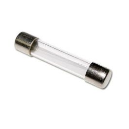 Littelfuse 312010P Fast Acting Fuse 10A 250V 3AG