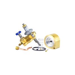 Sporlan Controls 381602 Rebuild Kit 0/100 PSIG RK-SORIT-PI-3