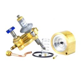 Sporlan Controls 381603 Rebuild Kit RK-SORIT-PI-2 0/100 PSIG