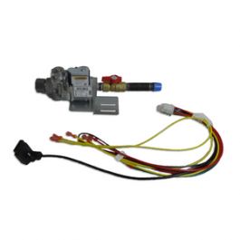 Weil Mclain 382200410 Natural Gas Valve W/Manifold Harness & Bracket Replaces 24V 36C98-303 VK8115V