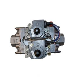 Bradford White 415-81608-03 Dual Natural Gas Valve Assembly