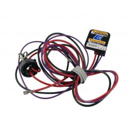 Rheem-Ruud 45-100834-15 Molded Plug Wiring Harness