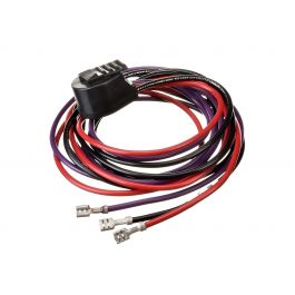 Rheem-Ruud 45-102303-01 Molded Plug