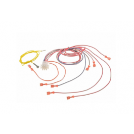 Rheem-Ruud 45-102393-82 Wire Harness 9 Pin To 9 Insulated Terminals