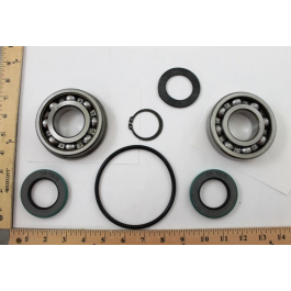 Aurora Pump 476-0622-644 Power Frame Repair Kit W/Grease