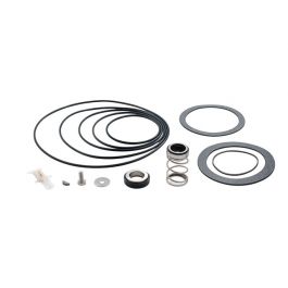 Aurora Pump 476-0788-644 Pump Seal Kit