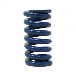 Spirax-Sarco 52151F Blue Spring 20-100 PSI