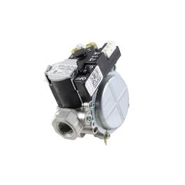 Rheem-Ruud 60-101921-06 Gas Valve
