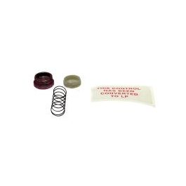 Rheem-Ruud 60-18759-06 Lp Gas Valve Conv Spring Kit