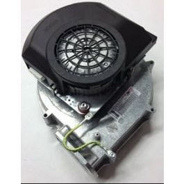 NTI Boiler 6000082052 EBM Blower & Motor TI/LX 100-150