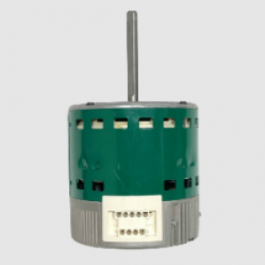 Regal Rexnord - Genteq 6007DS 3/4HP Dual Shaft Motor 115-208/230V Evergreen