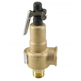 Kunkle Valve 6010FEM01AAM0015 1 Inch X1 1/4 Inch Steam 15# 482Pph