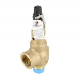 Kunkle Valve 6021JHT01AAM0150 2 Inch X2.5 Inch 150# 10818Pph Steamrlf