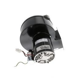 RBI Boiler 70-2348-001K Blower Futera Fusion