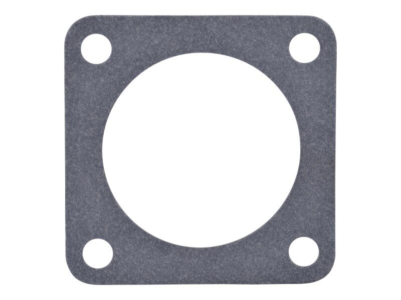 70003901 Gasket, Throttle Body | JLG