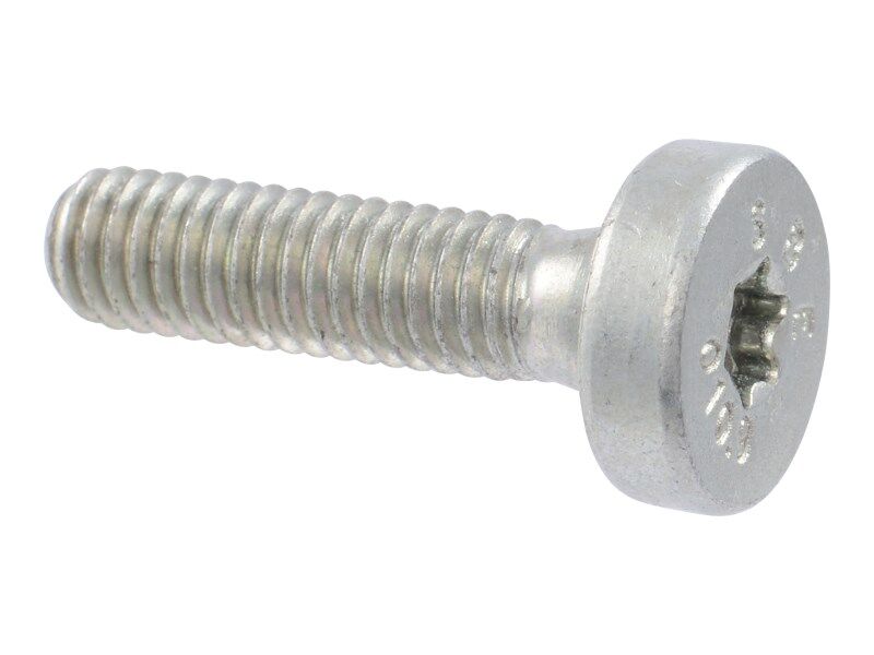 70026555 Torx Screw, M6X23 | JLG