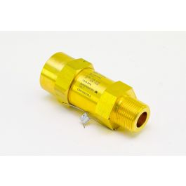 Daikin-McQuay 735045817 Straight Relief Valve 200 PSI