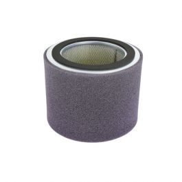 Burnham Boiler 81156011 Air Filter EVA1500