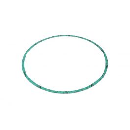Armstrong Fluid Technology 8426401-005 13" Nitrile Gasket
