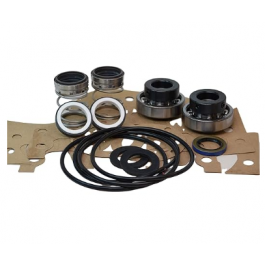 PACO Pump 91909232 Seal Kit