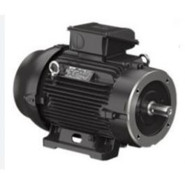 Grundfos 99883241 2HP TEFC Motor 208-230V/460V 3PH