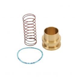 Mueller Industries A17987 1-5/8" 4-Bolt Check Valve Rebuild Kit