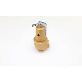 Laars Heating Systems A2080000 Pressure Relief Valve 75 PSI 2" NPTF