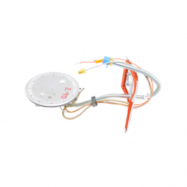 Rheem-Ruud AM41880 Burner Assembly