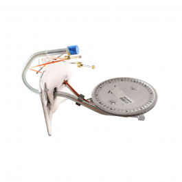 Rheem-Ruud AM44962 Burner Assembly