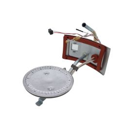Rheem-Ruud AM46745 Burner Assembly