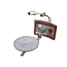 Rheem-Ruud AM46751 Burner Assembly