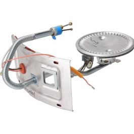 Rheem-Ruud AM50601 Natural Gas Burner/Door Assembly