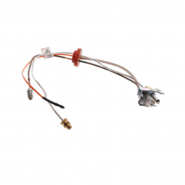 Rheem-Ruud AP13242 Pilot Assembly