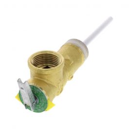 Rheem-Ruud AP14901G-1 Temperature & Pressure Relief Valve
