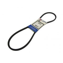 Gates AP46 Predator V-belt