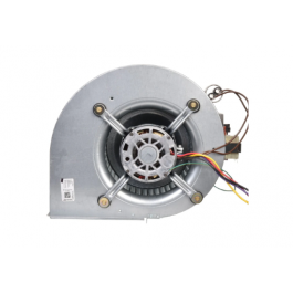Rheem-Ruud AS-101931-05 Blower Assembly