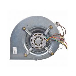 Rheem-Ruud AS-101931-06 Blower Assembly