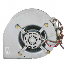 Rheem-Ruud AS-104188-02 Blower Assembly