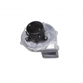 Bradford White FT3104 Fan Assembly
