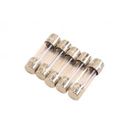 Siemens Combustion FUSE6.3A-SLOW Fuse 6.3 AMP 250V 5PK