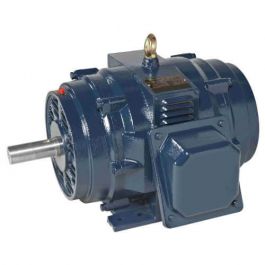 Regal Rexnord - Marathon GT0067 30HP Motor 1800 RPM DP 286T Frame 230-460V/3PH