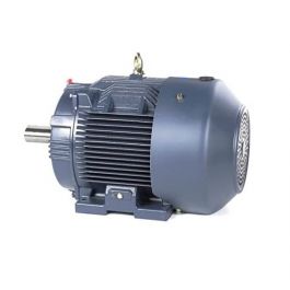 Regal Rexnord - Marathon GT1022A 15HP 1800 RPM 254T Frame 208-230/460V