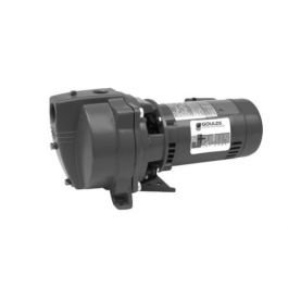 Xylem-Goulds Pumps J10S 1HP Shallow Well Jet Pump 60Hz 115-230V/1PH DP 5.25"