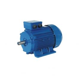 Trane MOT16313 1HP Condenser Motor 230V