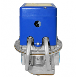 Maxitrol MR212DH-1010 1 1/4 Inch Mod/ Regulator Valve, Lp